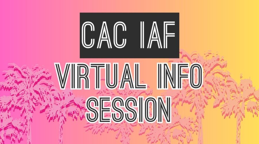 Watch our Virtual Info Session for the Individual Artist Fellowships