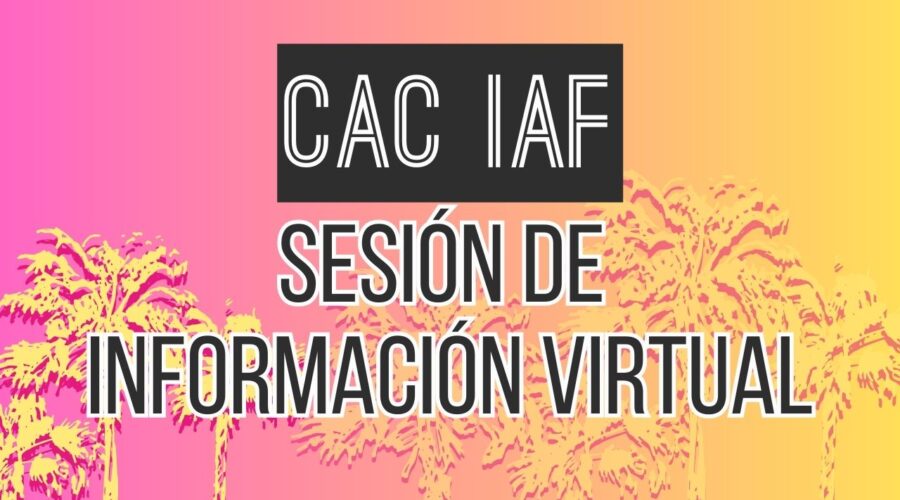 Vea nuestra Sesión de Información Virtual para las Becas para Artistas Individuales