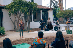 BtG_NEST: Lindsey Red-tail