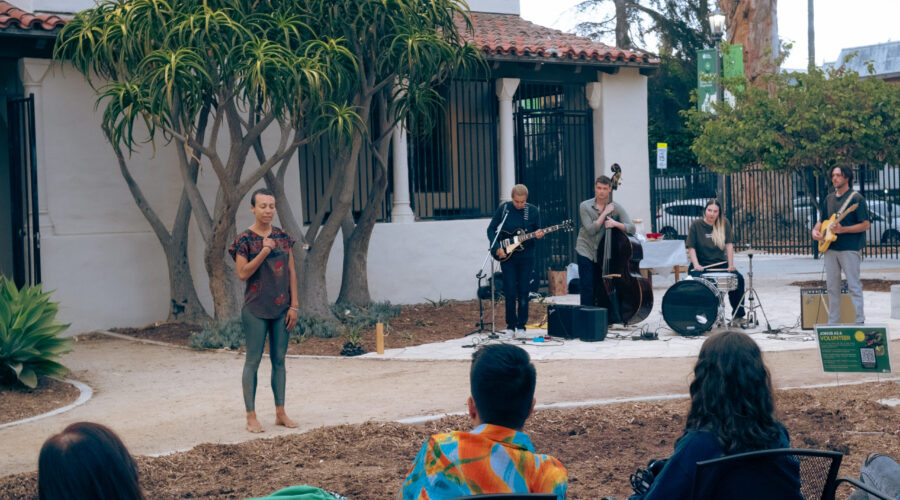 BtG_NEST: Lindsey Red-tail