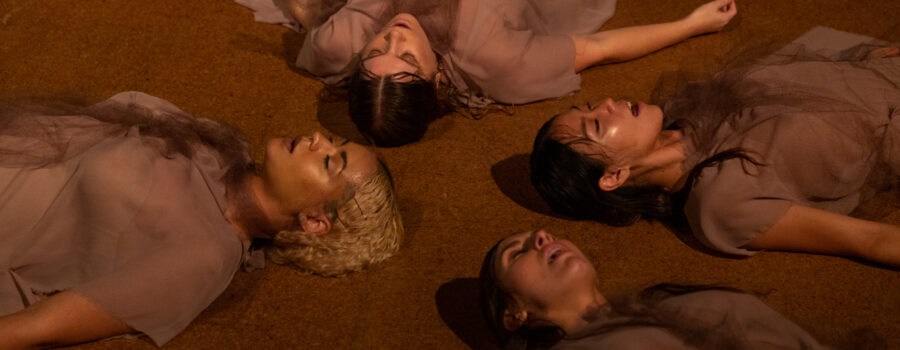 ACCELERATOR Artist Profile: Sharon Chohi Kim