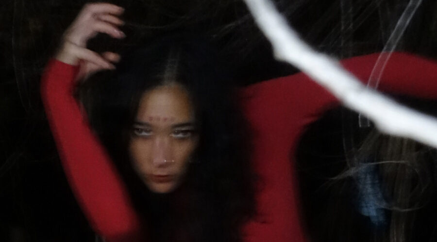 ACCELERATOR Artist Profile: Crystal Sasaki