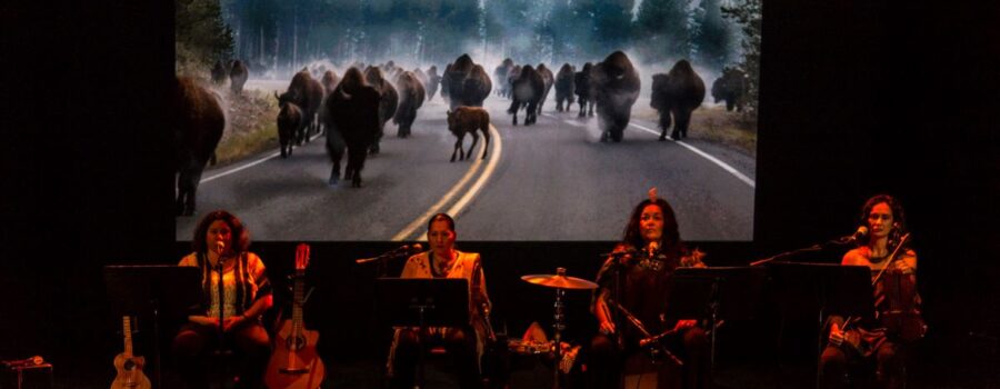 ACCELERATOR Artist Profile: Nadene Pita